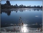 foto Central Park in Inverno